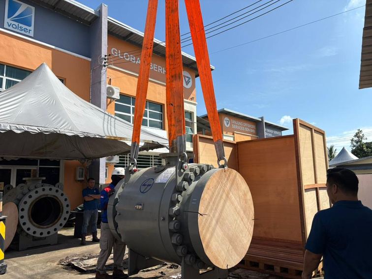Valve servicing and testing